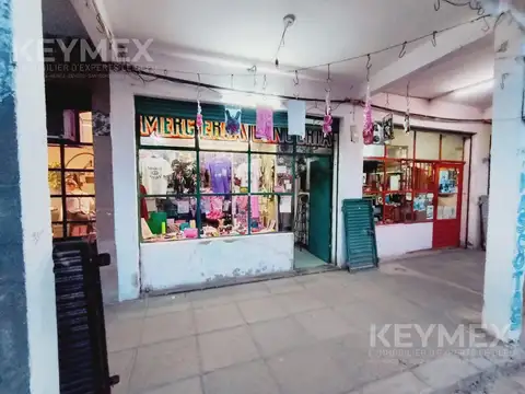 VENTA DE LOCAL CON FONDO DE COMERCIO EN VILLA CELINA