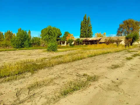 Julio Argentino Roca 3000