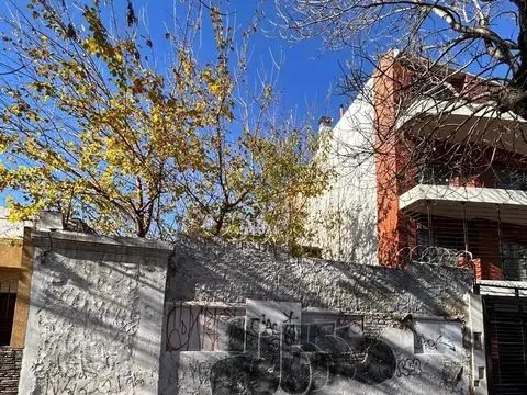 Terreno - Parque Avellaneda - 8.66 x 44 m2