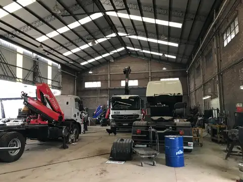 Grecia al 7500 e/Homero y Odisea "Olimpo"