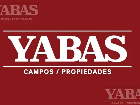 CAMPO AGRÍCOLA EN VENTA –32 hectareas -  ZONA SAN PEDRO, BUENOS AIRES