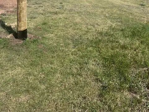 Terreno en Venta de 341,0 m2