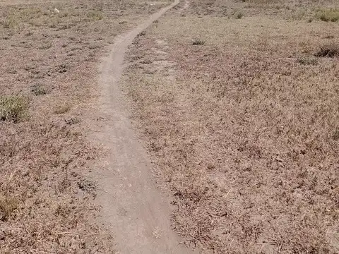 Terrenos en venta - 340 mts2  - Villa Elvira, La Plata