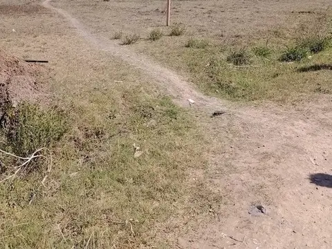 Terreno en Venta de 341,0 m2