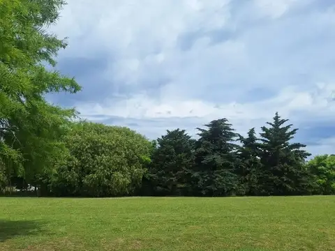 Terreno en Venta de 650,0 m2