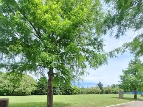 Rbs. Lote En Barrio Brujas, Pilar, Barrio Pellegri