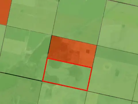 Campo en Corral de Bustos-Cordoba