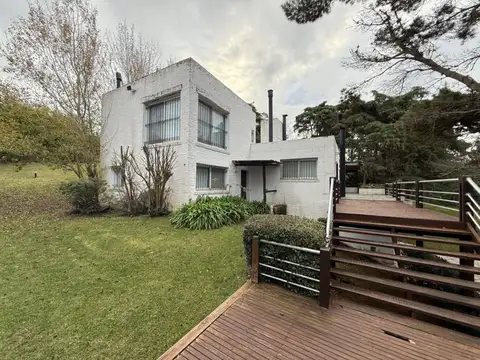 Sauce entre Colibrí y Chorlo , Carilo, 500