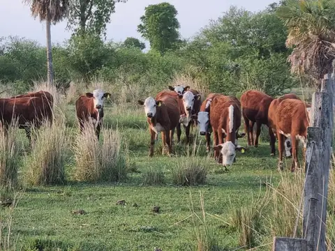 Arrendamiento Campo Zona Rural Distrito Lanteri