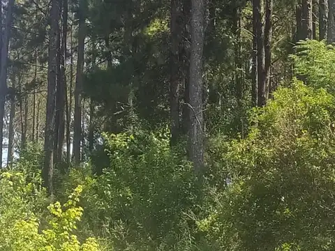 Terreno en Venta de 856,0 m2