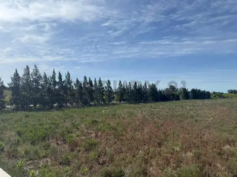 Terreno en Venta de 4,0 m2