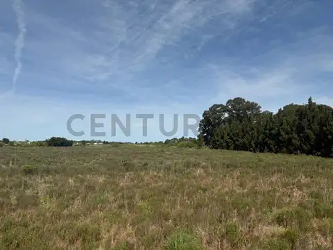 Parcela de 4 hectareas en inmejorable zona de Arana 637/ 13 y 17