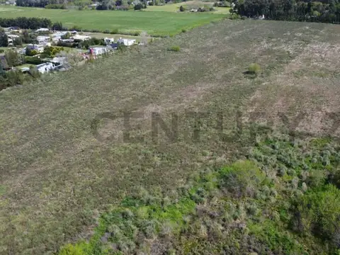 Parcela de 4 hectareas en inmejorable zona de Arana 637/ 13 y 17