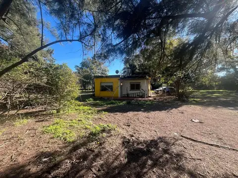 San Lorenzo y Curuzú Cuatiá 100