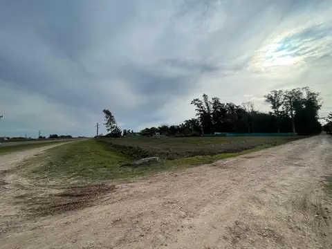 Colectora Au Lujan - Bragado (Ruta 5) Km 69