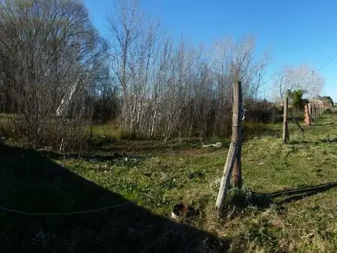 Terreno en Venta 50  mts Frente