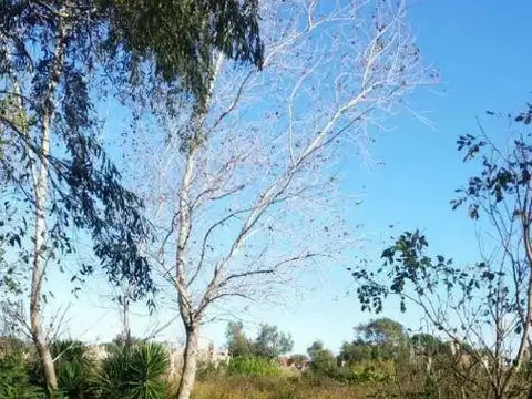Terreno en Venta de 2000,0 m2