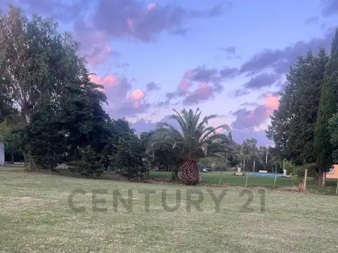 El Ombu entre 97 y 98 , Piso 0