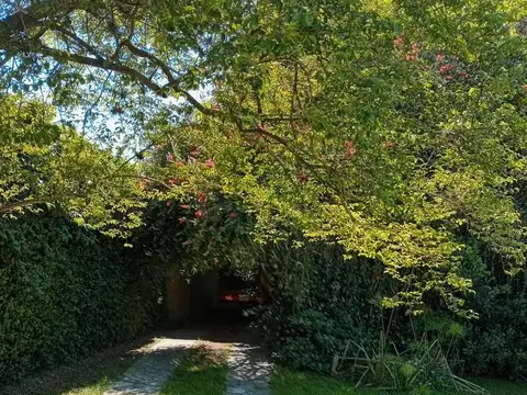 General Acha  al 4200