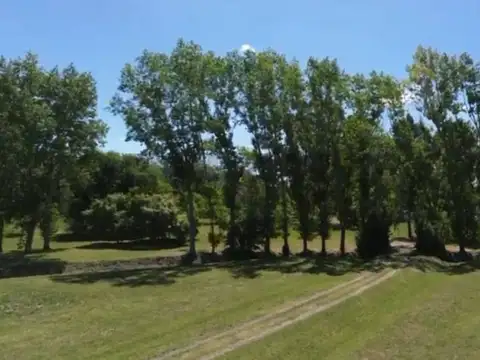 Oficina en Venta en La Plata, USD 650.000