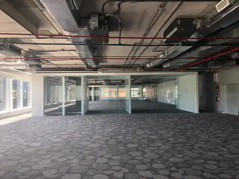 Oficina en Alquiler con 20 cocheras