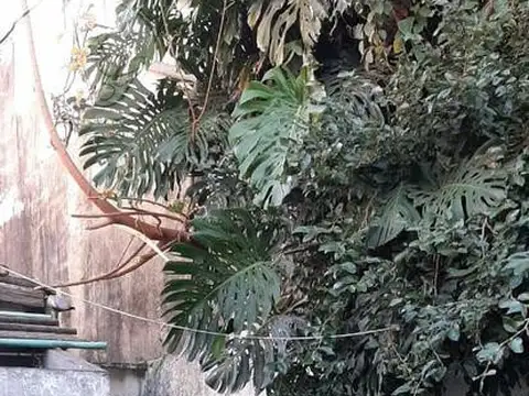 Pasaje Llorente al 600