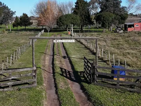 Ruta Provincial 56, Km 55 General Madariaga