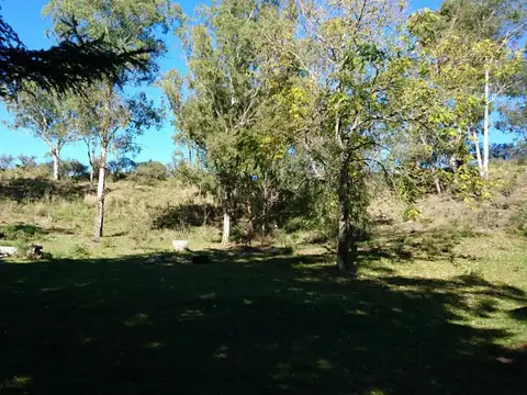 Terreno en Venta de 1100,0 m2