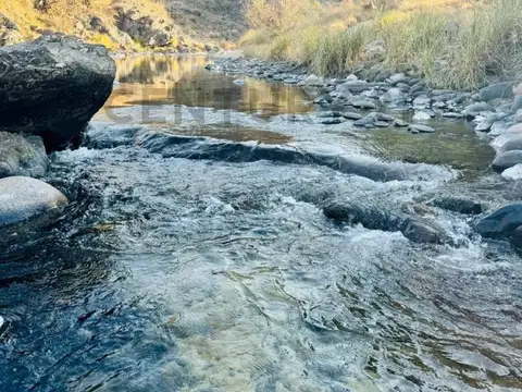 Terreno en Venta de 10000,0 m2