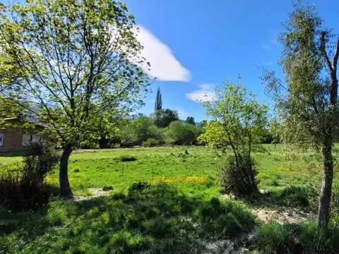 Terreno en Venta de 804,0 m2