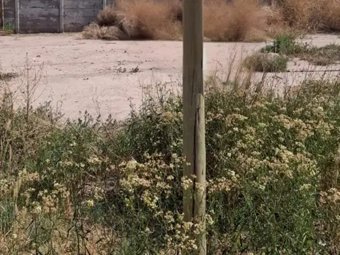 Julio Argentino Roca 5500