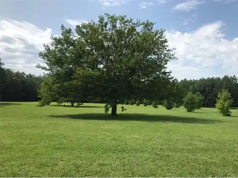 Terreno en Venta en Villa Elisa, USD 135.000