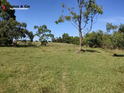 Campo en Venta de 3  ha