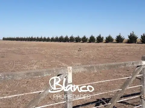 Casa en Venta en Rio Cuarto, USD 19.500.000