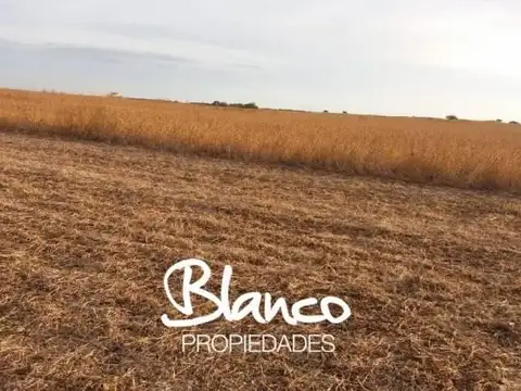 Casa en Venta en Rio Cuarto, USD 19.500.000