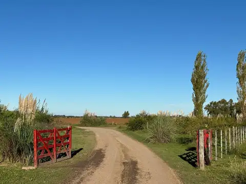 Barrio Laguna de las Pampas, Ruta 7 km 100