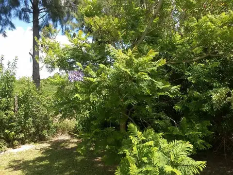 Casa en Alquiler Temporal 15 años