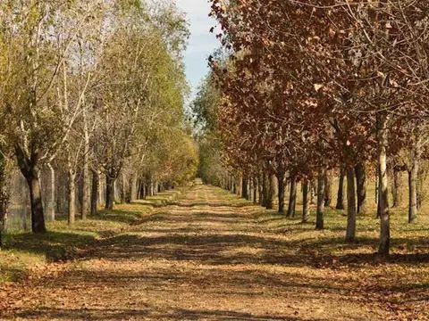 ADG. Lote en venta en El Cardal II, Los Cardales