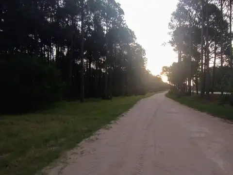 Terreno en Venta de 1126,0 m2