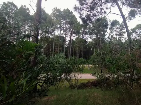 Boulevard Florentino Ameghino e/ Holmberg y Cul de sac Etoneo