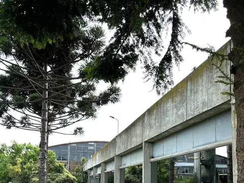 Oficina en Alquiler en Carrasco , USD 23.430