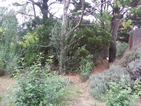 Terreno en Venta en Las Gaviotas, USD 57.000