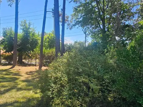 Mapuche CC Avenida de los robles 100