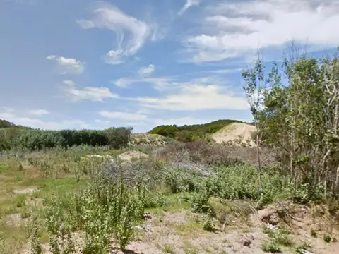 Avutarda y Paraíso Lote 49 22°