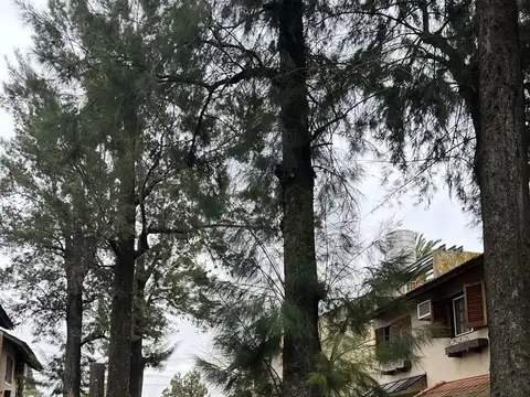 Fray Mamerto Esquiu 1200