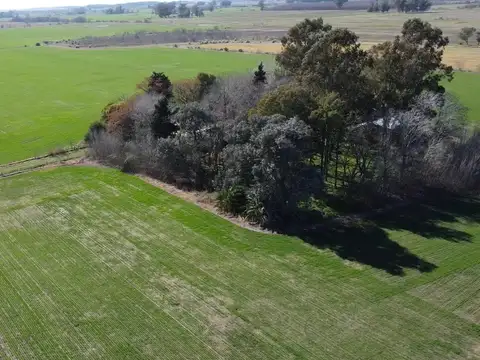 Campo de 12 ha en Las Chacras