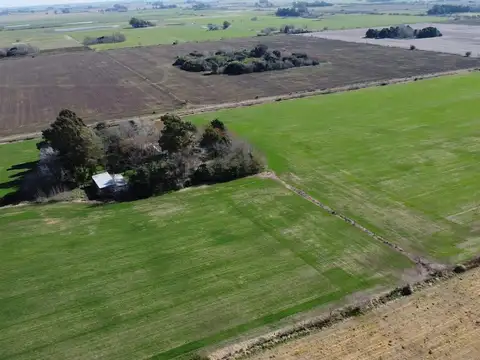 Las Chacras, Camino real