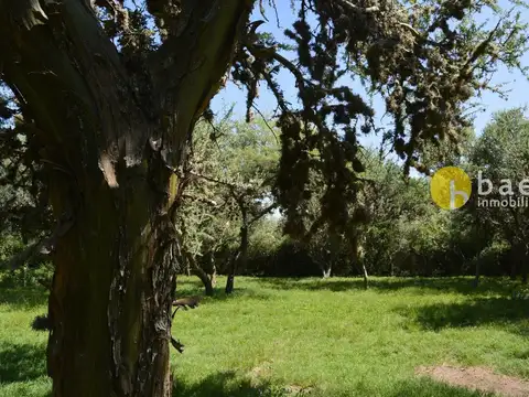 LOTE DE 2596M2 EN CARPINTERIA