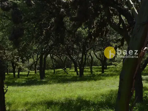 Terreno en Venta en Carpinteria, USD 36.000