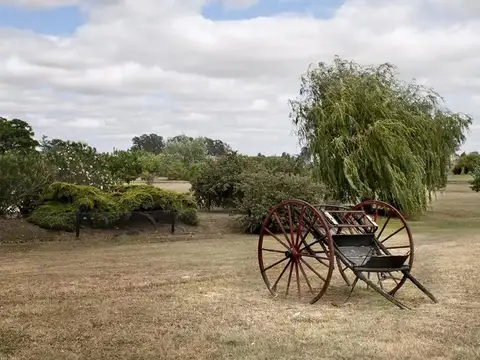 Terreno en Venta de 5530,0 m2